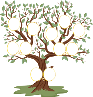 Family Tree Image